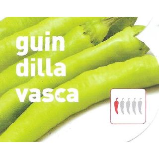 Compra PIMIENTO GUINDILLA VASCA EPS247 en la tienda online Fito Agrícola