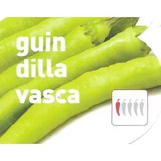 Compra PIMIENTO GUINDILLA VASCA EPS247 en la tienda online Fito Agrícola