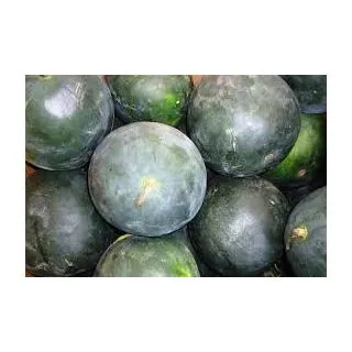 Compra SANDÍA RESISTENT NEGRA F1 EPS104 en la tienda online Fito Agrícola