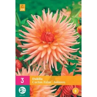 Compra DALIA CACTUS SALMON XXL en la tienda online Fito Agrícola