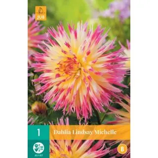 Compra DALIA LINDSAY MICHELLE en la tienda online Fito Agrícola