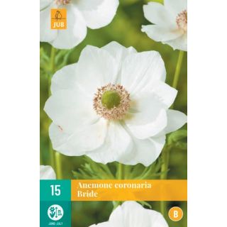 Compra ANÉMONA BRIDE en la tienda online Fito Agrícola