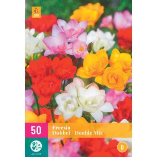 Compra FREESIA DOBLE MIX XXL en la tienda online Fito Agrícola