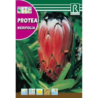 Compra PROTEA NERIFOLIA (6 gr.). en la tienda online Fito Agrícola