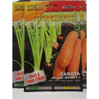Compra ZANAHORIA JOLANA F-1 (1,5 gr. - 1.200 Semillas). en la tienda online Fito Agrícola