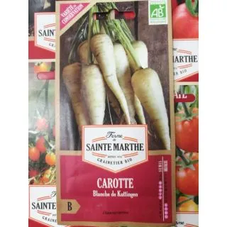 Compra ZANAHORIA BLANCHE DE KUTTINGEN AB (1.500 Semillas) en la tienda online Fito Agrícola