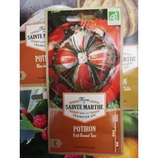 Compra CALABAZA TURBANTE TURCO PEQUEÑA AB (15 Semillas) en la tienda online Fito Agrícola