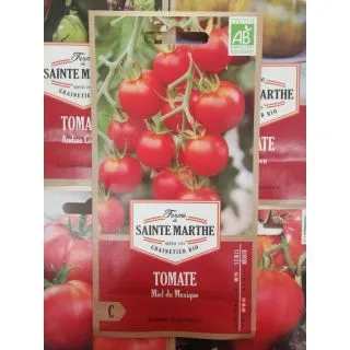 Compra TOMATE MIEL DU MEXIQUE AB (50 Semillas) en la tienda online Fito Agrícola