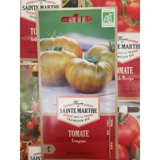 Compra TOMATE EVERGREEN AB (50 Semillas). en la tienda online Fito Agrícola