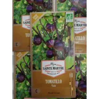 Compra TOMATILLO VIOLET AB (50 Semillas) en la tienda online Fito Agrícola