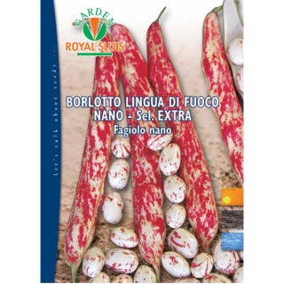 Compra JUDÍA LENGUA DE FUEGO NANO Sel. Extra (100 gr.) en la tienda online Fito Agrícola