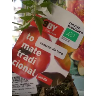Compra TOMATE CORAZÓN DE TORO ECOLÓGICO ME11 en la tienda online Fito Agrícola