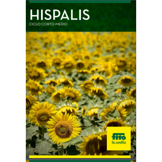 Compra GIRASOL HISPALIS (10 Kgr.) en la tienda online Fito Agrícola