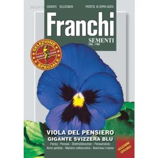 Compra PENSAMIENTO GIGANTE SUIZO AZUL (1 gr.). en la tienda online Fito Agrícola