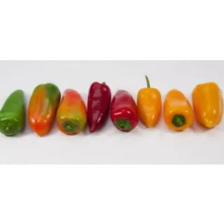 Compra PIMIENTO SNACKING NARANJA EPS104 en la tienda online Fito Agrícola