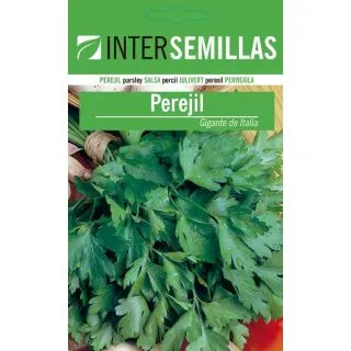 Compra PEREJIL GIGANTE DE ITALIA ECOLÓGICO (100 gr.). en la tienda online Fito Agrícola