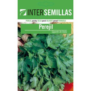 Compra PEREJIL GIGANTE DE ITALIA ECOLÓGICO (500 gr.). en la tienda online Fito Agrícola