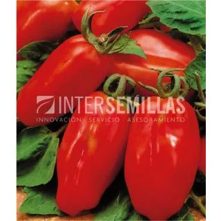 Compra TOMATE SAN MARZANO ECOLÓGICO (10 gr.). en la tienda online Fito Agrícola