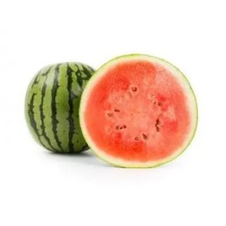 Compra SANDÍA GATINHO RZ F1 Precisión (1000 Semillas). en la tienda online Fito Agrícola