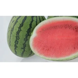 Compra SANDÍA PREMIUM F-1 INJERTADA EPS70 en la tienda online Fito Agrícola