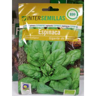 Compra ESPINACA GIGANTE DE INVIERNO ECOLÓGICA (100 gr.). en la tienda online Fito Agrícola
