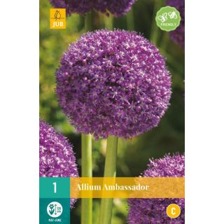 Compra ALLIUM AMBASSADOR en la tienda online Fito Agrícola