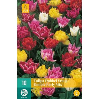 Compra TULIPÁN DOBLE EARLY MIX en la tienda online Fito Agrícola