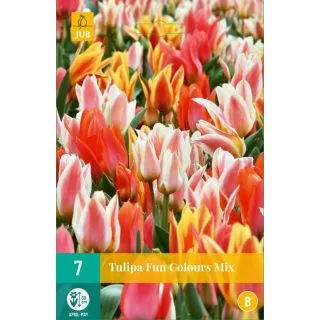 Compra TULIPÁN FUN COLOURS en la tienda online Fito Agrícola