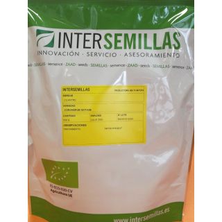 Compra CILANTRO COMÚN ECOLÓGICO (500 gr.). en la tienda online Fito Agrícola