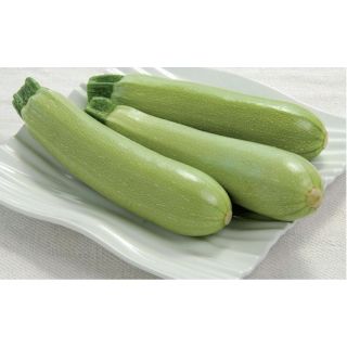 Compra CALABACÍN AMALTHEE F1 BIO (1.000 Semillas) en la tienda online Fito Agrícola