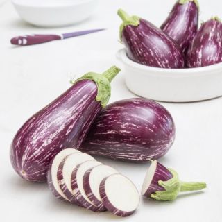 Compra BERENJENA RIOCA F1 (1000 Semillas). en la tienda online Fito Agrícola