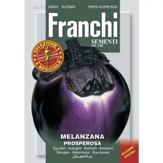 Compra BERENJENA PROSPEROSA (50 gr.). en la tienda online Fito Agrícola