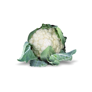 Compra COLIFLOR BARCELONA F1 (2.500 Semillas) en la tienda online Fito Agrícola