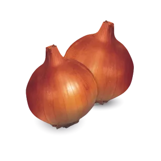 Compra CEBOLLA ORLANDO F1 Calibrada (100.000 Semillas). en la tienda online Fito Agrícola