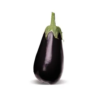 Compra BERENJENA ARAGON F1 (1.000 Semillas) en la tienda online Fito Agrícola
