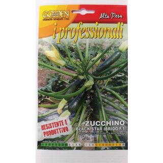 Compra CALABACÍN BLACK STAR F1 (2 gr.). en la tienda online Fito Agrícola