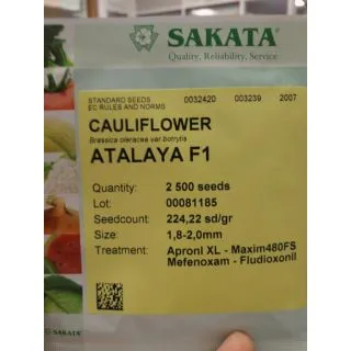 Compra COLIFLOR ATALAYA F1 (2.500 Semillas) en la tienda online Fito Agrícola