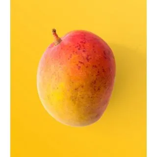 Compra LECHUGA ARENA Píldora Sphera (5.000 Semillas) en la tienda online Fito Agrícola