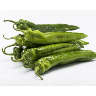 Compra PIMIENTO ALFEREZ F1 (1000 Semillas) en la tienda online Fito Agrícola