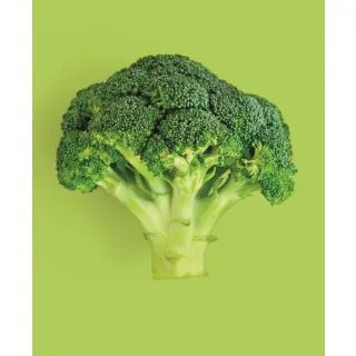 Compra NABO CLOVIS F1 (250.000 Semillas). en la tienda online Fito Agrícola