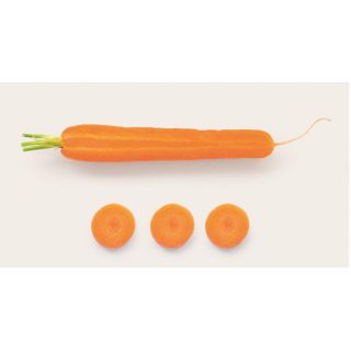 Compra ZANAHORIA SANTORIN F1 Peliculada (500.000 Semillas). en la tienda online Fito Agrícola