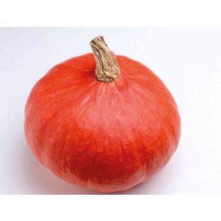 Compra CALABAZA HOT SUMMER F1 ECOLÓGICA (1000 Semillas). en la tienda online Fito Agrícola