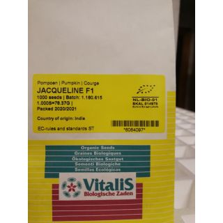 Compra CALABAZA JACQUELINE F1 ECOLÓGICA (1000 Semillas). en la tienda online Fito Agrícola