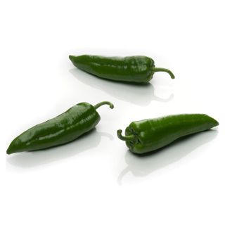 Compra PIMIENTO MACHÍN F1 (1.000 Semillas) en la tienda online Fito Agrícola