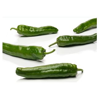 Compra PIMIENTO ÉBOLI F1 (1.000 Semillas) en la tienda online Fito Agrícola