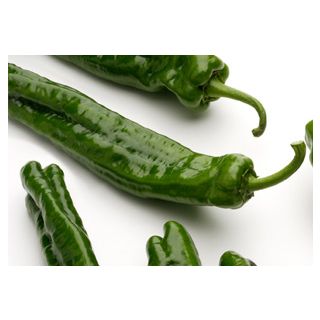 Compra PIMIENTO RIGOLETTO F1 (1.000 Semillas) en la tienda online Fito Agrícola