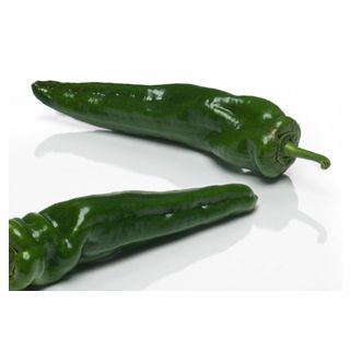 Compra PIMIENTO VINCI F1 (1.000 Semillas) en la tienda online Fito Agrícola