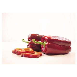 Compra PIMIENTO QUIJANO F-1 (1.000 Semillas) en la tienda online Fito Agrícola