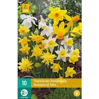 Compra NARCISOS BOTANICOS MIX en la tienda online Fito Agrícola
