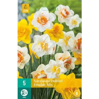 Compra NARCISOS DOBLES MIX en la tienda online Fito Agrícola